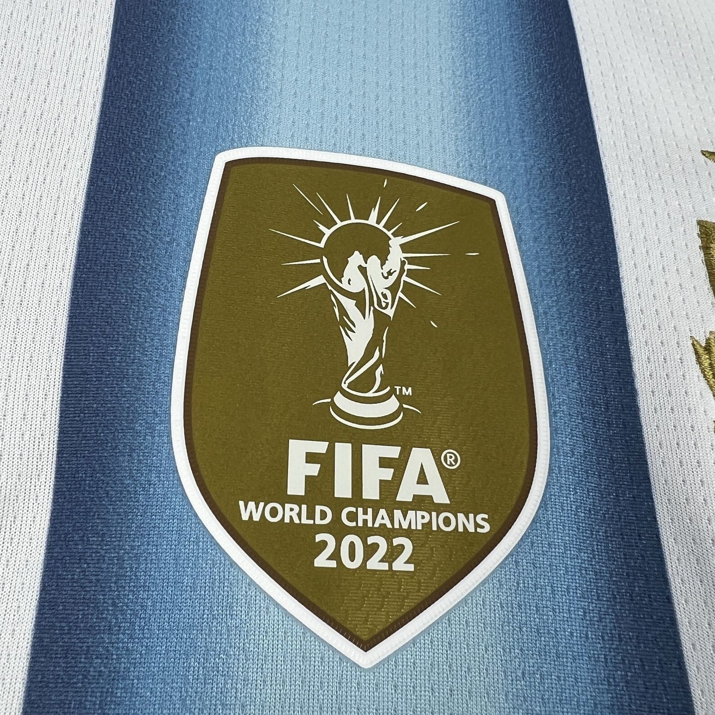 2026 Argentina Home