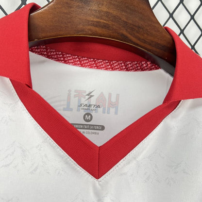 2026 Haiti Away World Cup Kit Fan Version