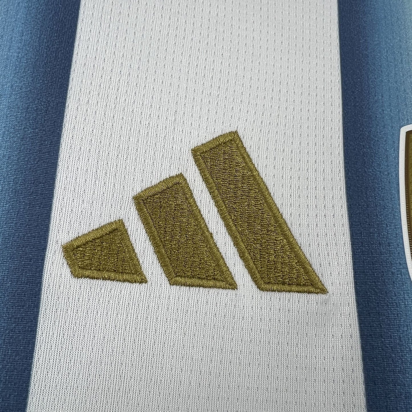 2026 Argentina Home