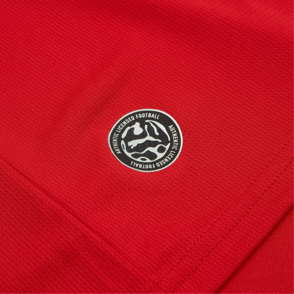 2026 Czech Republic Home